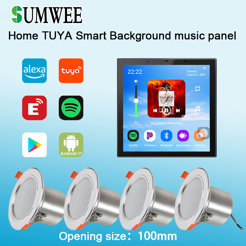 4 inch Android 11 Tuya Smart H - Audio Music Background recensie en prijs