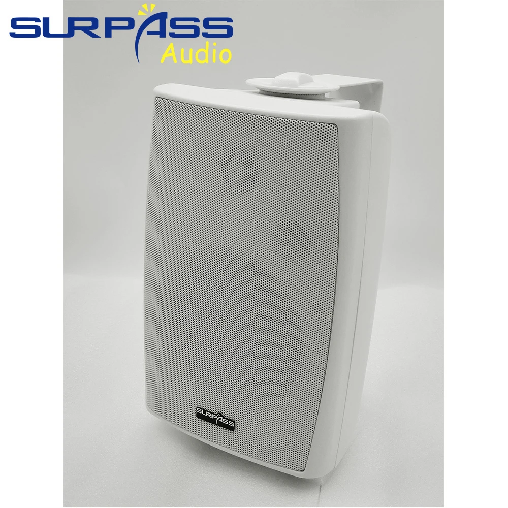 PA-systeem Wandmontage Luidspr - Audio Music Background recensie en prijs