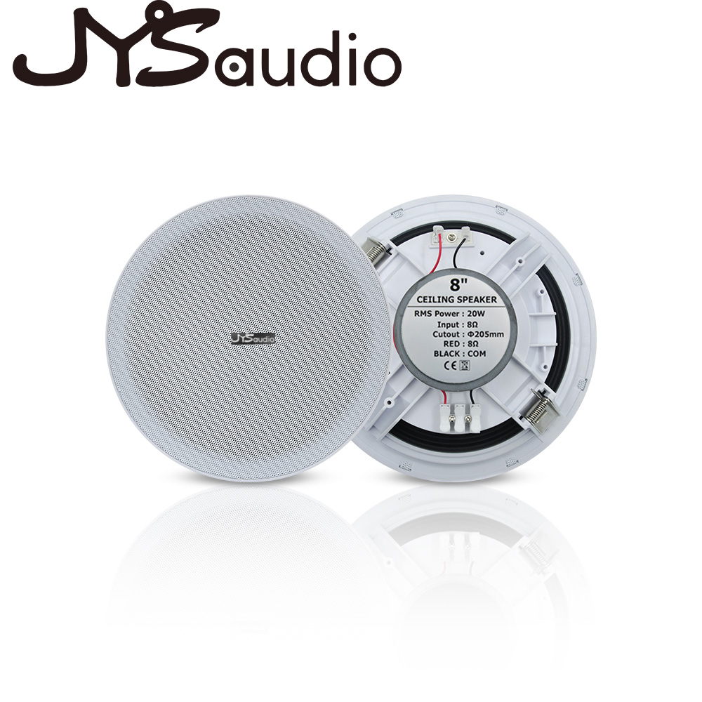 20W plafondluidspreker Stereo  - Audio Music Background recensie en prijs
