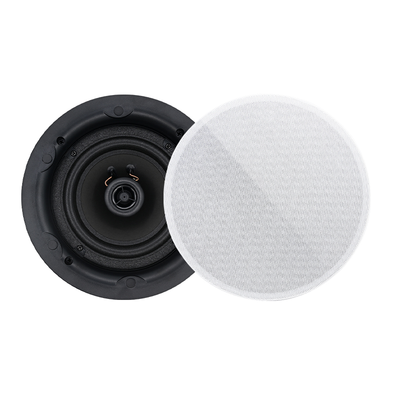 5,25 inch 8 ohm plafondluidspr - Audio Music Background recensie en prijs