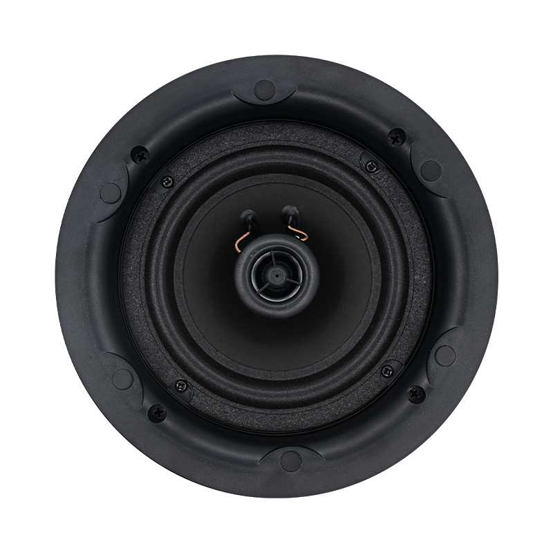 5,25 inch 8 ohm plafondluidspr - Audio Music Background recensie en prijs
